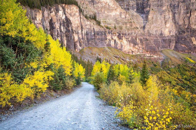 Black Bear Road to Telluride print